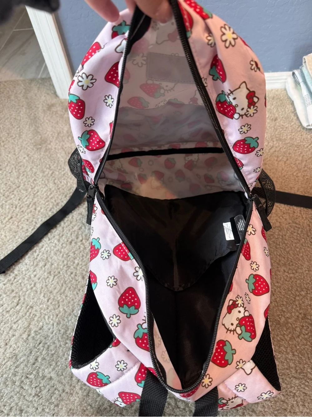 Hello Kitty hello kitty